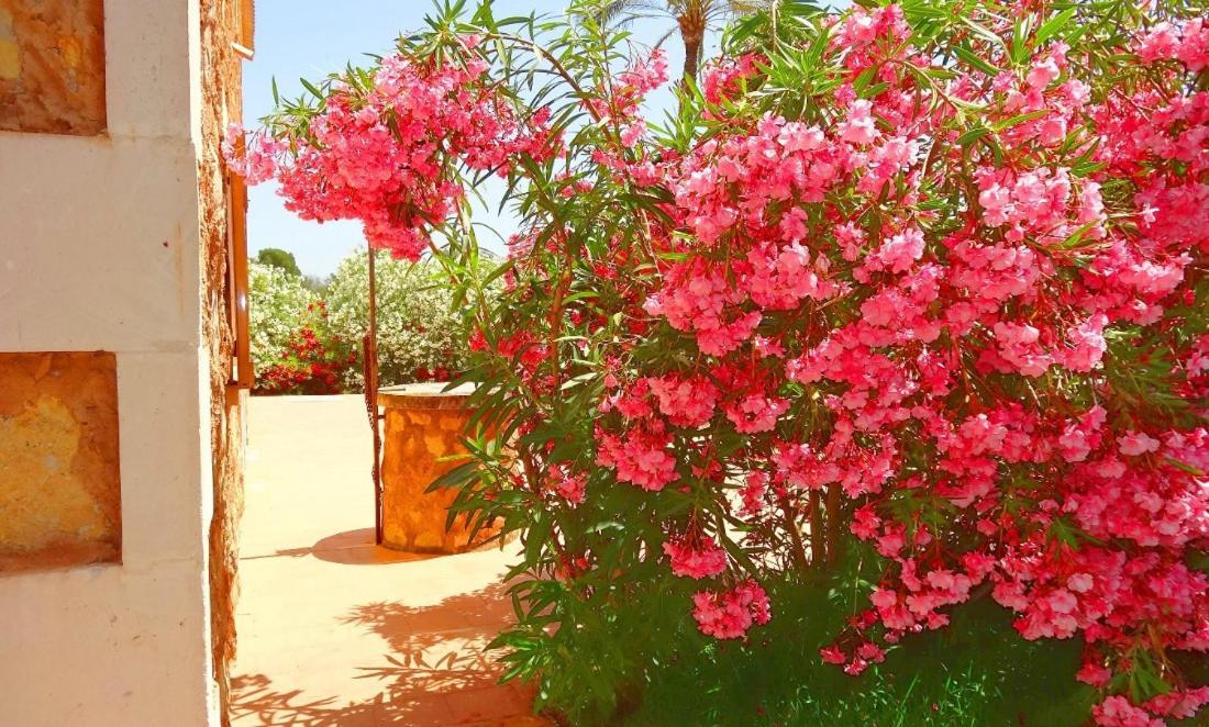 Villa Son Mas
